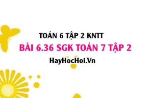 Bài 6.36 SGK Toán 7 tập 2 Kết nối tri thức